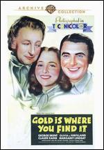 Gold Is Where You Find It - Michael Curtiz