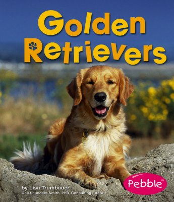 Golden Retrievers - Trumbauer, Lisa
