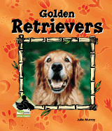 Golden Retrievers