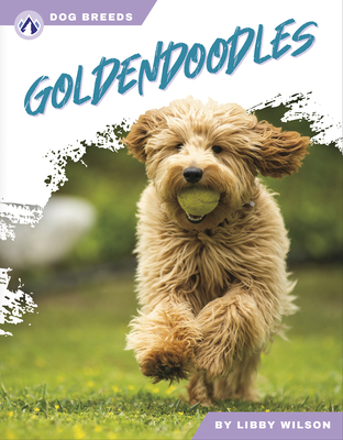 Goldendoodles - Wilson, Libby
