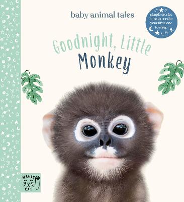 Goodnight, Little Monkey: Simple stories sure to soothe your little one to sleep - Wood, Amanda