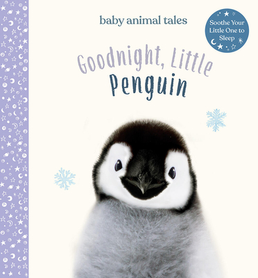 Goodnight, Little Penguin - Wood, Amanda, and Winnel, Bec (Photographer)