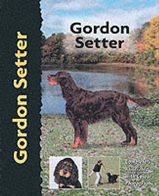 Gordon Setter - Harper, Lavonia