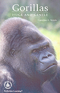 Gorillas: Huge and Gentle