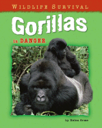 Gorillas in Danger