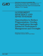 Government Efficiency and Effectiveness: Opportunities to Reduce Fragmentation, Overlap, and Duplication Through Enhanced Performance Management and Oversight