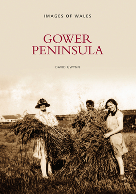Gower Peninsula - Gwynn, David