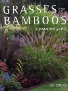 Grasses and Bamboos: A Practical Guide