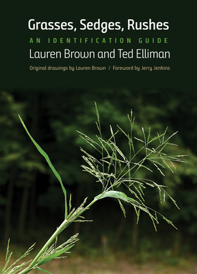 Grasses, Sedges, Rushes: An Identification Guide - Brown, Lauren, and Elliman, Ted, and Jenkins, Jerry (Foreword by)