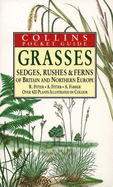 Grasses, Sedges, Rushes and Ferns of Britain and Northern Europe