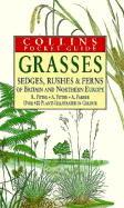 Grasses, Sedges, Rushes and Ferns of Britain and Northern Europe