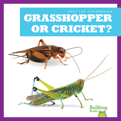 Grasshopper or Cricket? - Rice, Jamie