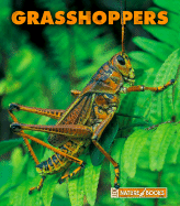 Grasshoppers