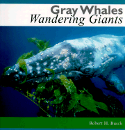 Gray Whales, Wandering Giants