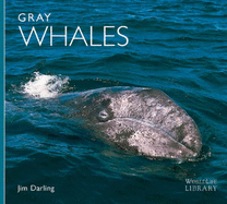 Gray Whales