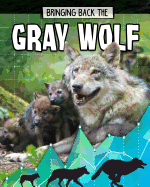 Gray Wolf: Bringing Back The