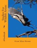 Great Blue Herons: Studies for Wildlife Artists