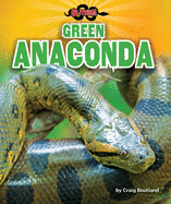 Green Anaconda