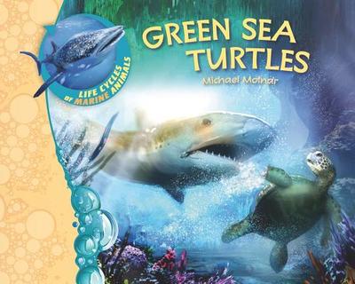 Green Sea Turtles - Molnar, Michael