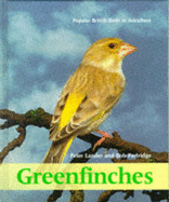 Greenfinches: Popular British Birds in Aviculture