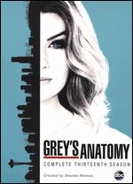 Grey's Anatomy: Season 13 - 