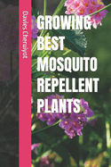 Growing Best Mosquito Repellent Plants