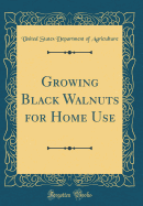 Growing Black Walnuts for Home Use (Classic Reprint)