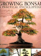 Growing Bonsai: A Practical Encyclopedia: The Complete Guide to a Classic Art with Essential Techniques, Step-By-Step Projects and Over 800 Photographs - Norman, Ken, and Sutherland, Neil (Photographer)