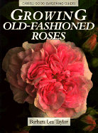 Growing Old-Fashioned Roses