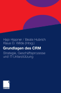 Grundlagen Des Crm: Strategie, Geschftsprozesse Und It-Untersttzung