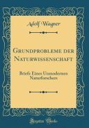 Grundprobleme Der Naturwissenschaft: Briefe Eines Unmodernen Naturforschers (Classic Reprint)