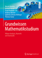 Grundwissen Mathematikstudium: Hhere Analysis, Numerik Und Stochastik