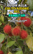 Guida alla Coltivazione del Rambutan: Impara come coltivare ottimo Rambutan