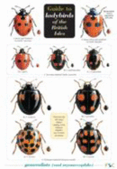 Guide to Ladybirds of the British Isles - M.E.N. Majerus, and Helen Roy, and Peter Brown, and Remy Ware, and Chris Shields (Illustrator)