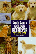 Guide to Own Golden Retriever