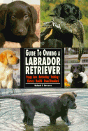 Guide to Own Labrador Retrievr