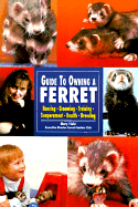 Guide to Owning a Ferret