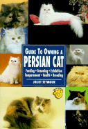 Guide to Owning a Persian Cat