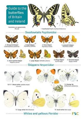 Guide to the butterflies of Britain and Ireland - Bebbington, John