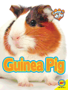 Guinea Pig