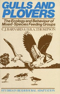 Gulls and Plovers: The Ecology of Mixed-Species Feeding Groups