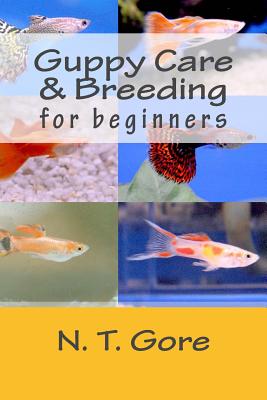 Guppy Care & Breeding for Beginners - Gore, N T