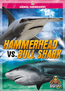 Hammerhead vs. Bull Shark
