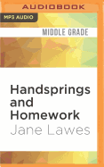 Handsprings and Homework