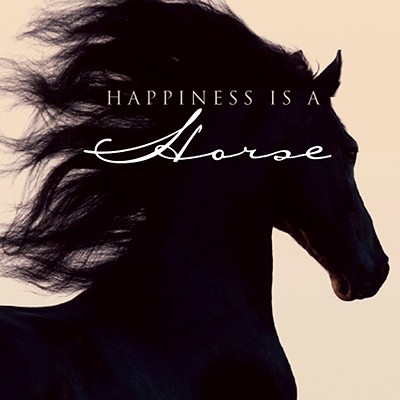 Happiness Is a Horse - Slawik, Christiane