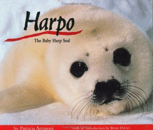 Harpo: The Baby Harp Seal