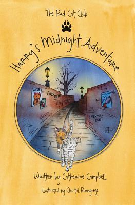 Harry's Midnight Adventure - Campbell, Catherine