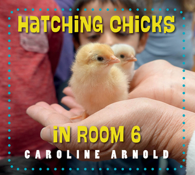 Hatching Chicks in Room 6 - Arnold, Caroline