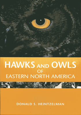 Hawks and Owls of Eastern North America - Heintzelman, Donald S