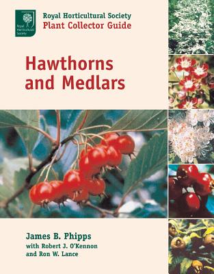 Hawthorns and Medlars - Phipps, James B